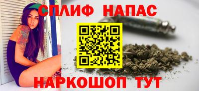 Альфа ПВП Малгобек