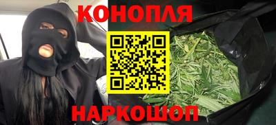Альфа ПВП Малгобек