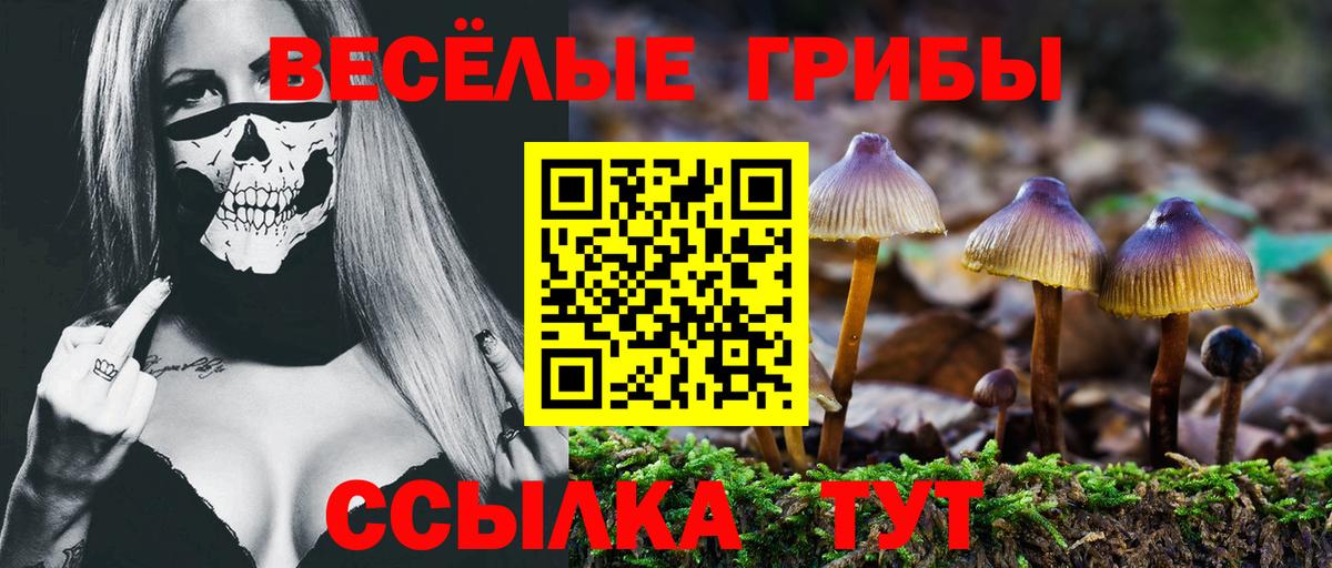 Псилоцибиновые грибы Psilocybine cubensis  Вход с VPN  Южноуральск 